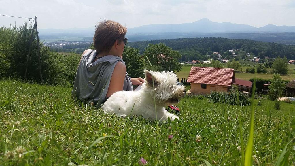 Hotel Panorama Glamping Visole Slovinská Bystrica Exteriér fotografie